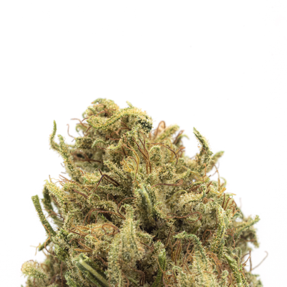 Hempire Sativa Pack Natural Colors