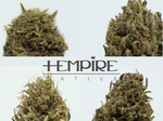 promo fiori - hempire sativa pack